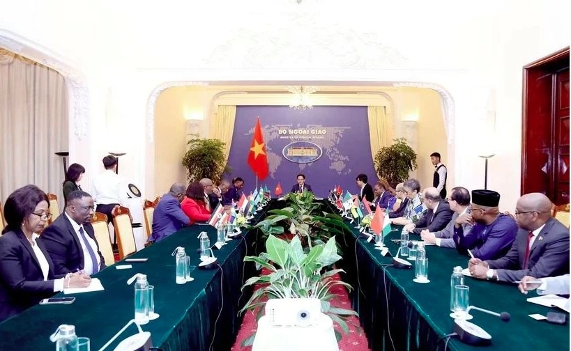 Vietnam, Africa need to make breakthroughs in bilateral ties